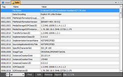 File Information